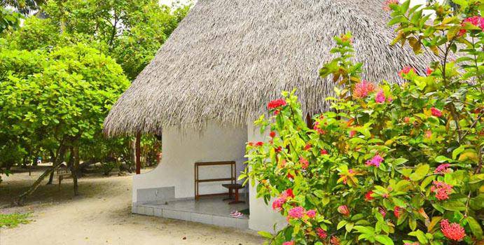 Classic Room, Fihalhohi Island Resort