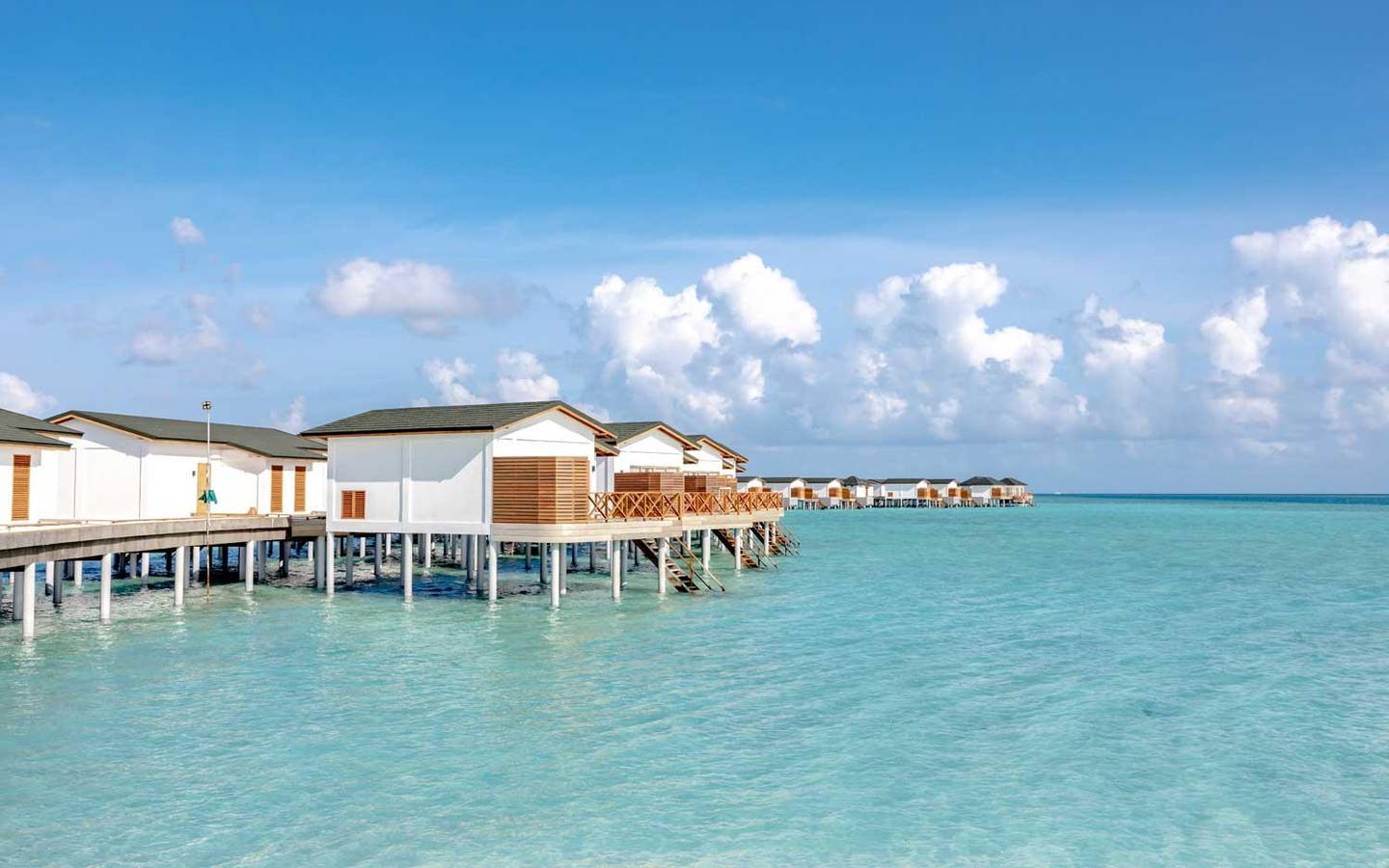Lagoon Suite