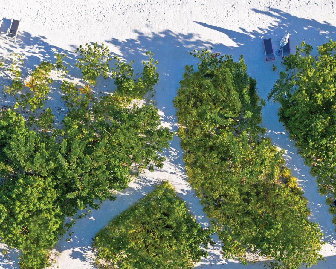 varu-by-atmosphere-maldives-family-beach-villla-aerial