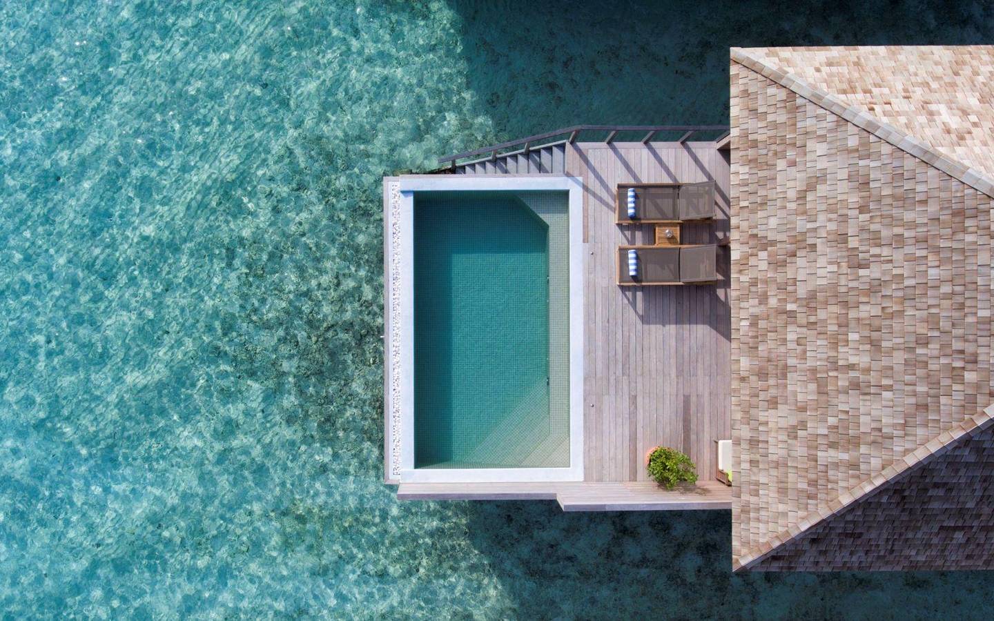 Hurawalhi Island Resort, Malediven, Ocean Pool Villa, Pool von oben