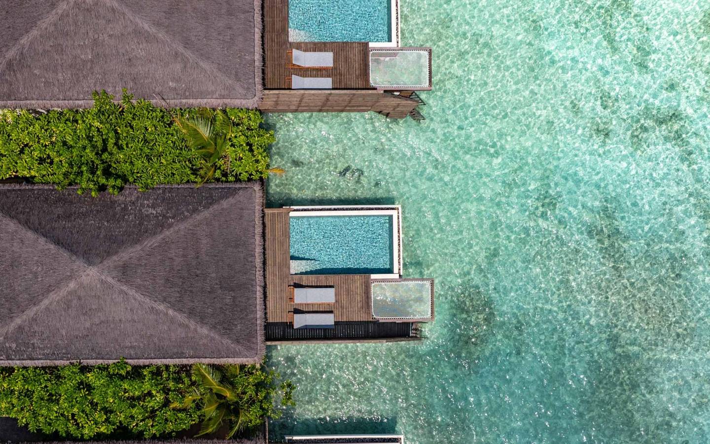 dusitd2-feydhoo-maldives-Waterfront-Pool-Villa-lage