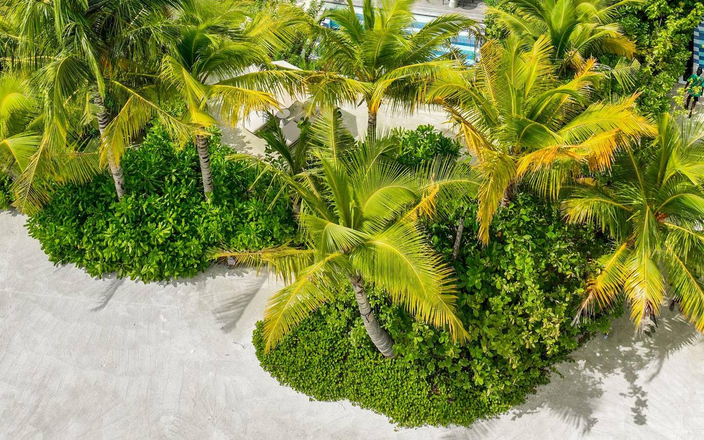 So_Maldives_Family_Beach_Pool_Villa_with_Capsule_2
