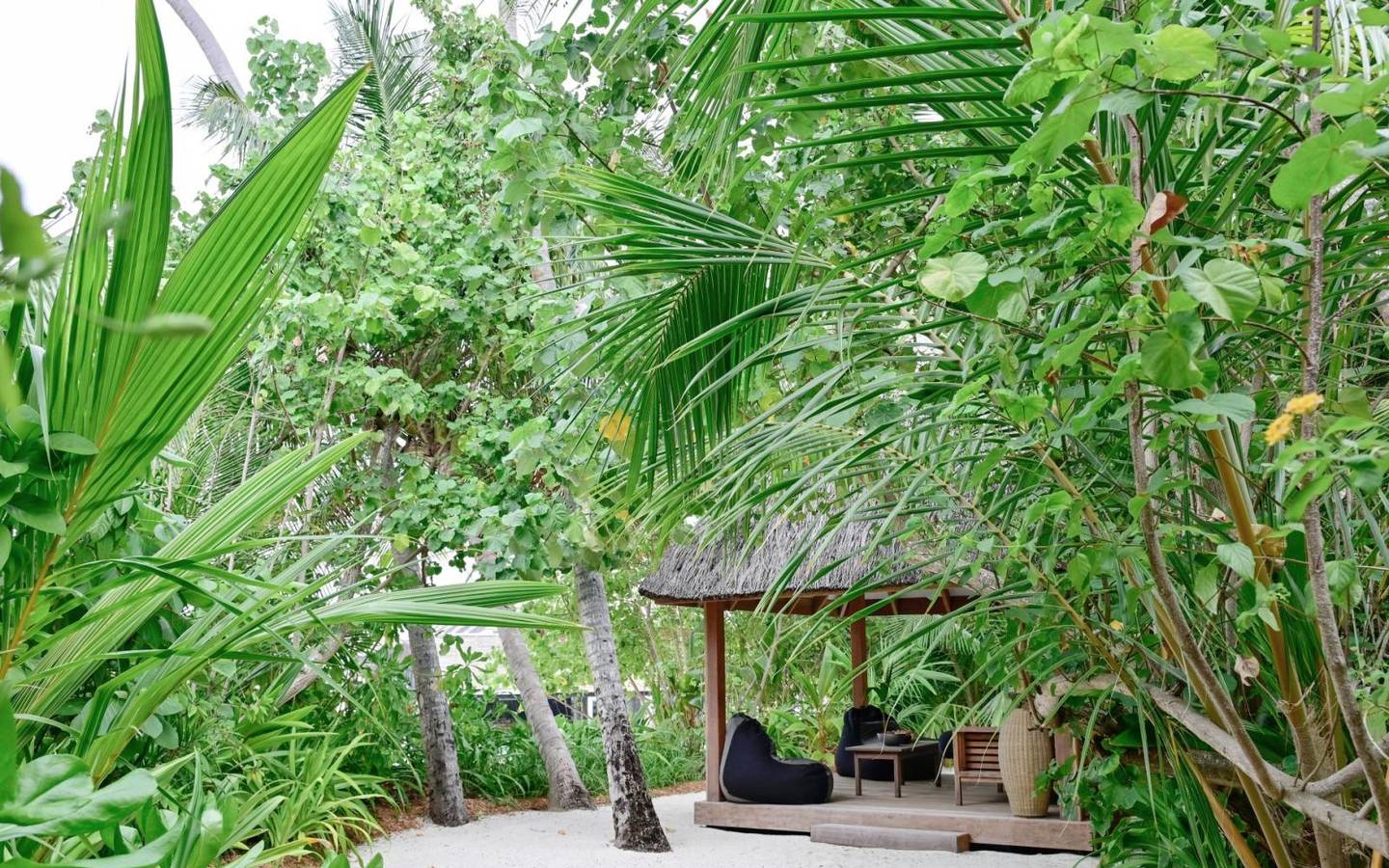 Grand Premier Beach Villa Pool