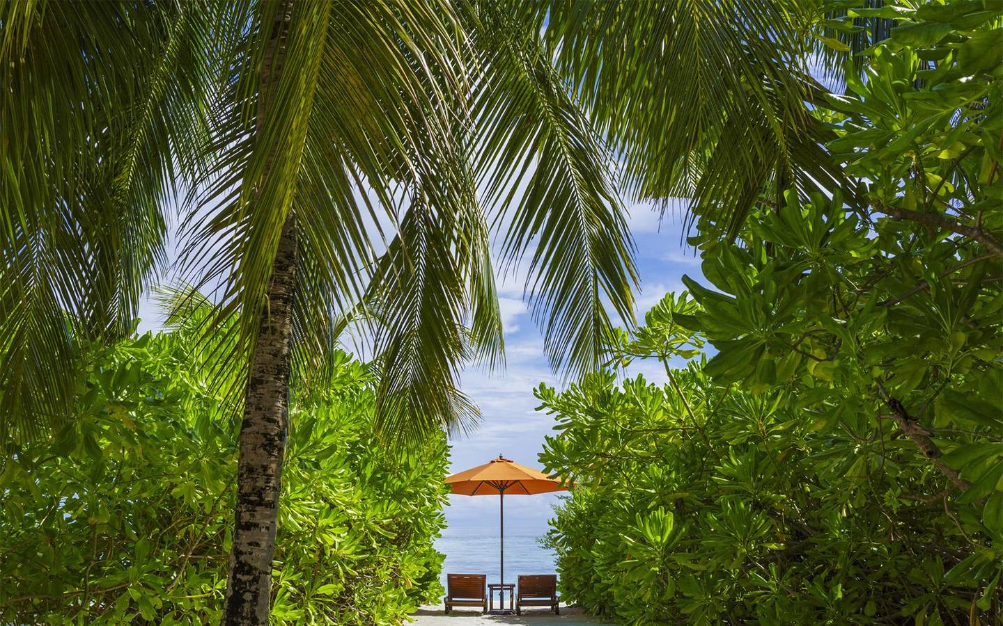 Angsana-Velavaru-Deluxe-Beachfront Villa-4
