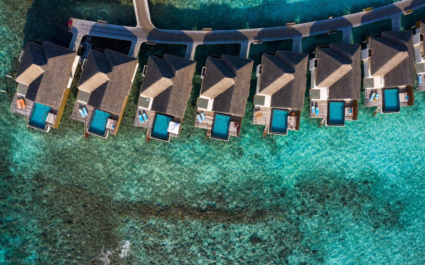 Furaveri - Ocean Pool Villa