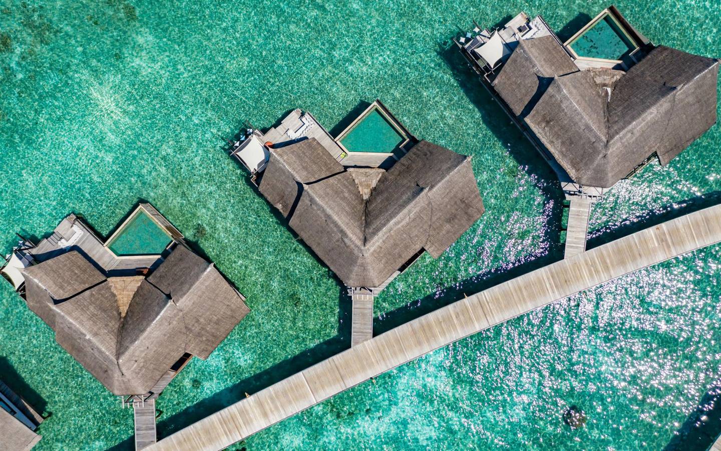 Ozen_Reserve_Bolifushi_Ocean-Pool-Suite-Wasservillensteg