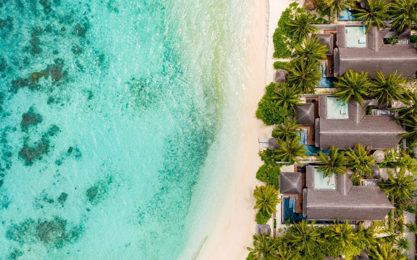 OZEN-Reserve-Bolifushi-Earth-Pool-Pavilion-2BR-Aerial-Pool