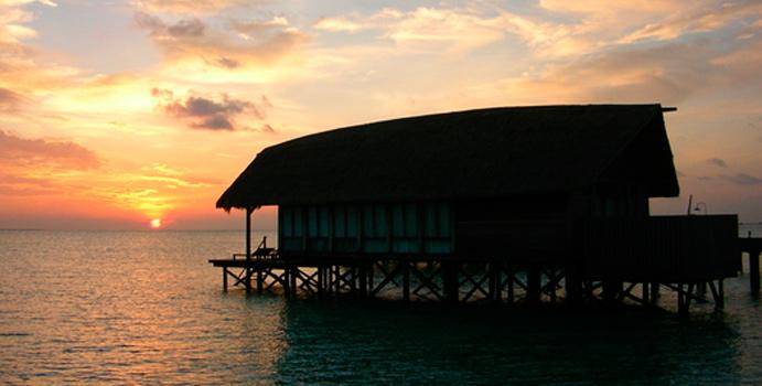 Water Villa mit 1 Schlafzimmer und Pool | Cocoa Island by Como