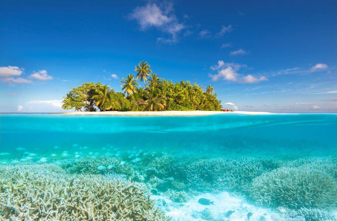 W Maldives