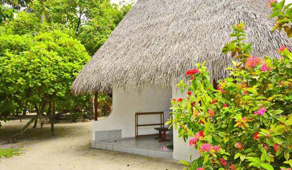 Classic Room, Fihalhohi Island Resort