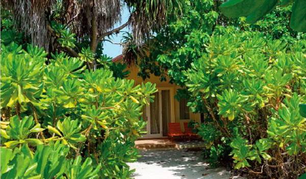 Strandzugang, Deluxe Beach Bungalows, Hondaafushi Island Resort