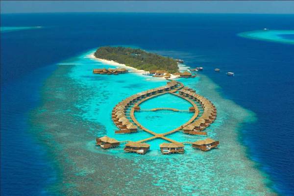 Lily Beach