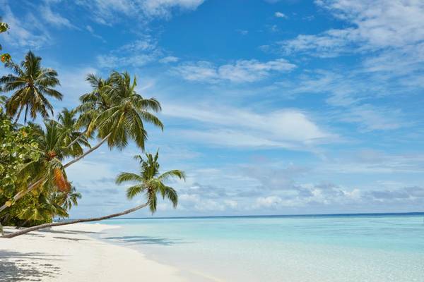 Sun Siyam Vilu Reef, Malediven, Meer und Palmen