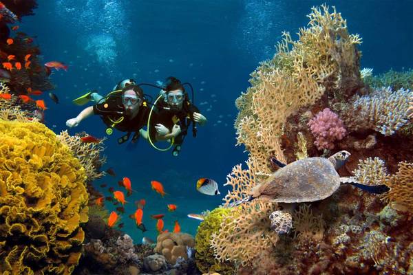 Avani+Fares, Diving at Avani+Fares
