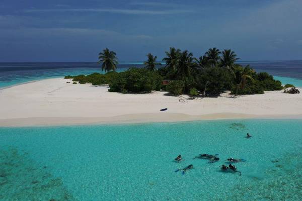 Insel