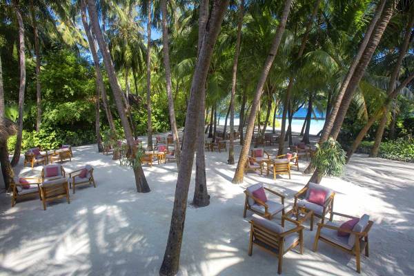 Baros Maldives Palmengarten heute