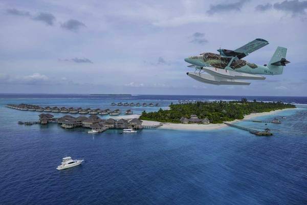 Flyimg Turtle Six Senses