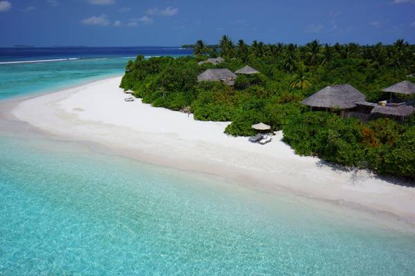 Strandzunge, Six Senses Laamu