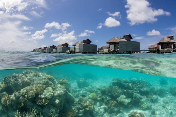 Hausriff, Six Senses Laamu
