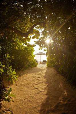 Park Hyatt Maldives Hadahaa, Beach Villa, Zugang zum Strand