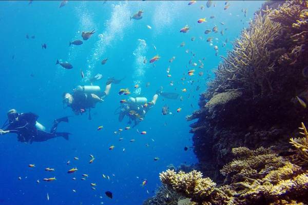 Thulhagiri Island Resort, Malediven, Tauchen
