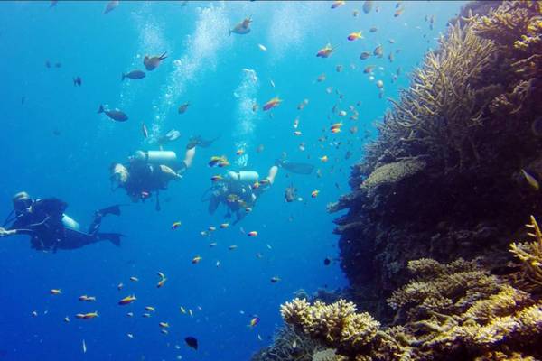 Thulhagiri Island Resort, Malediven, Slider, Tauchen