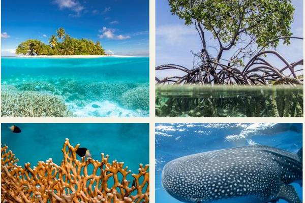 Konzept W Maldives, New Look