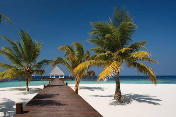 Coco Bodu Hithi, Malediven, Slider, Strand mit Palmen