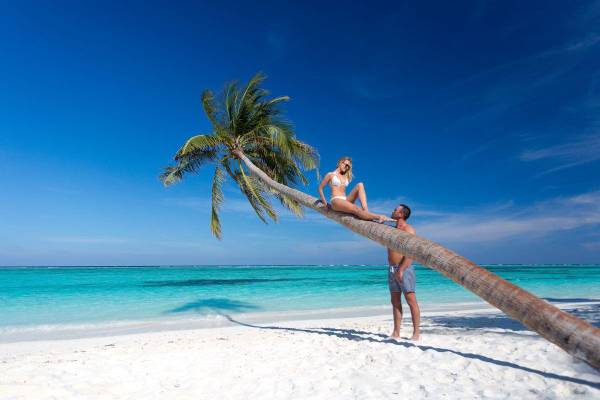 Meeru Island Resort, Malediven, Palme
