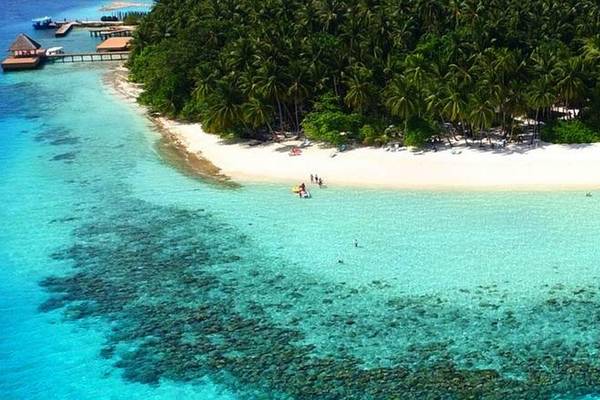 Strand, Fihalhohi Island Resort