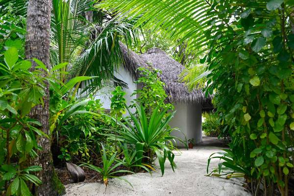 Makunudu Island, Deluxe Bungalow, Eingang