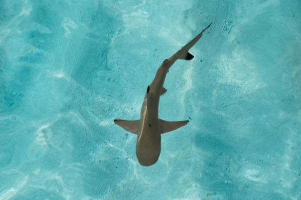 Ellaidhoo_Maldives-by-Cinnamon-sHARK