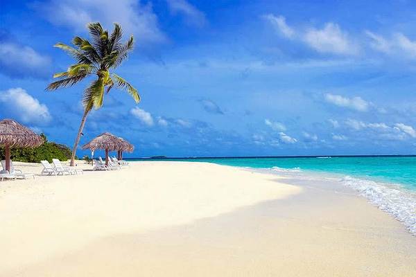 Palmenstrand, Furaveri Island Resort & SPA, Maldives