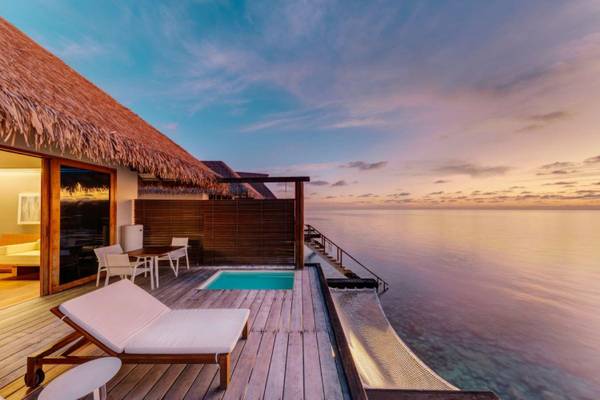 Cinnamon_Velifushi