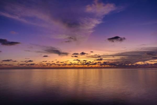 Cinnamon_Velifushi