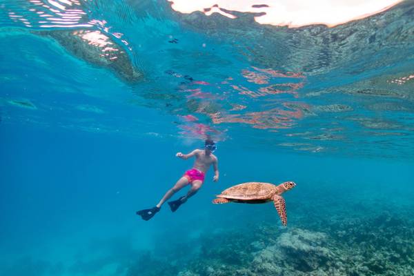 Eri_Maldives_Hausriff_6