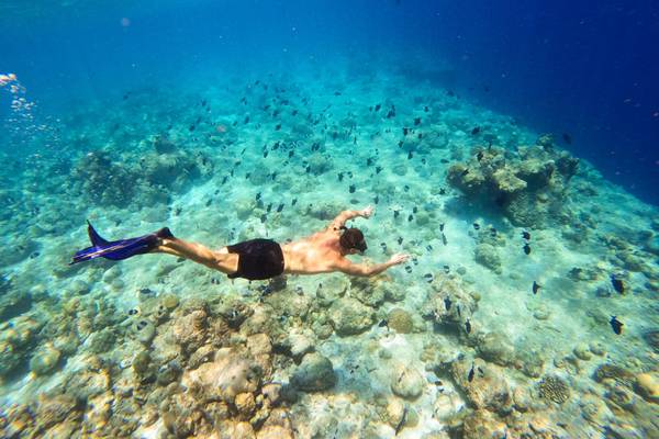 Diving_Kuredu_Resort_und_Spa