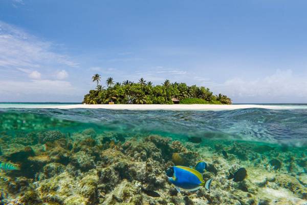 W_Maldives_1