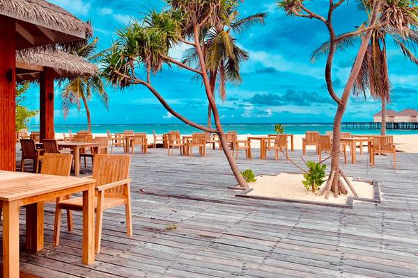 Brennia_Kottefaru_Restaurant_Lime_14
