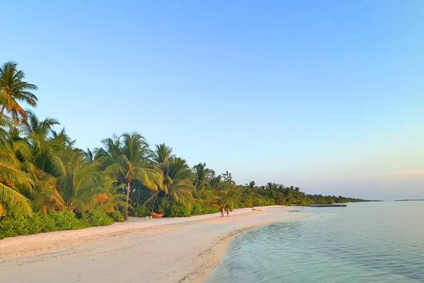 Canareef Resort Strand