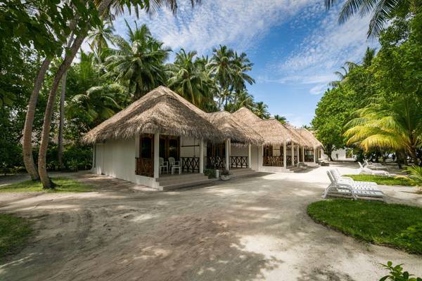 Premium Beach