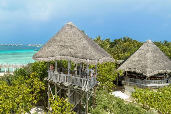 JW-Marriott_Maldives_Winter-Escape-Baumhaus