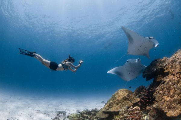 Four Seasons Resort Maldives - Mantarochen und Taucherin
