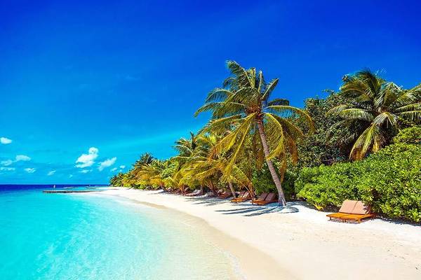 Strand, Liegestuhl, Palmen, Lily Beach Resort & SPA, Malediven