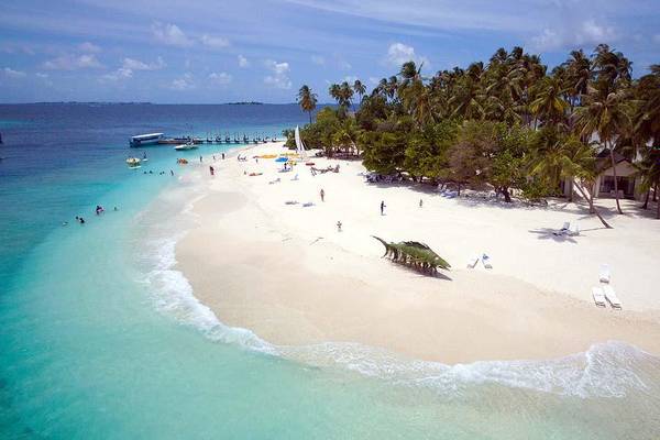 Malahini Kuda Bandos