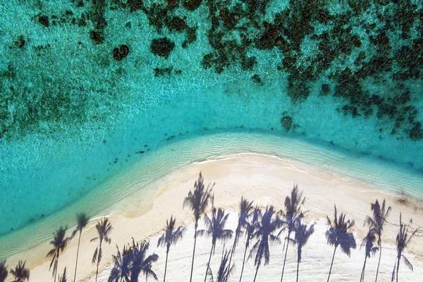 Sandstrand, Palmen, Riff, Milaidhoo Island, Maledives