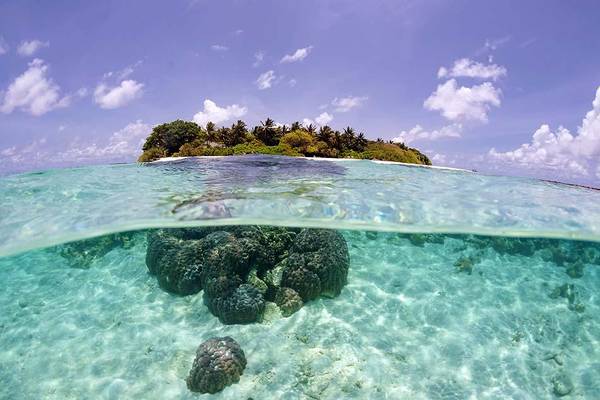 Unterwasseraufnahme, Korallen, Royal Island Resort & Spa, Maldives